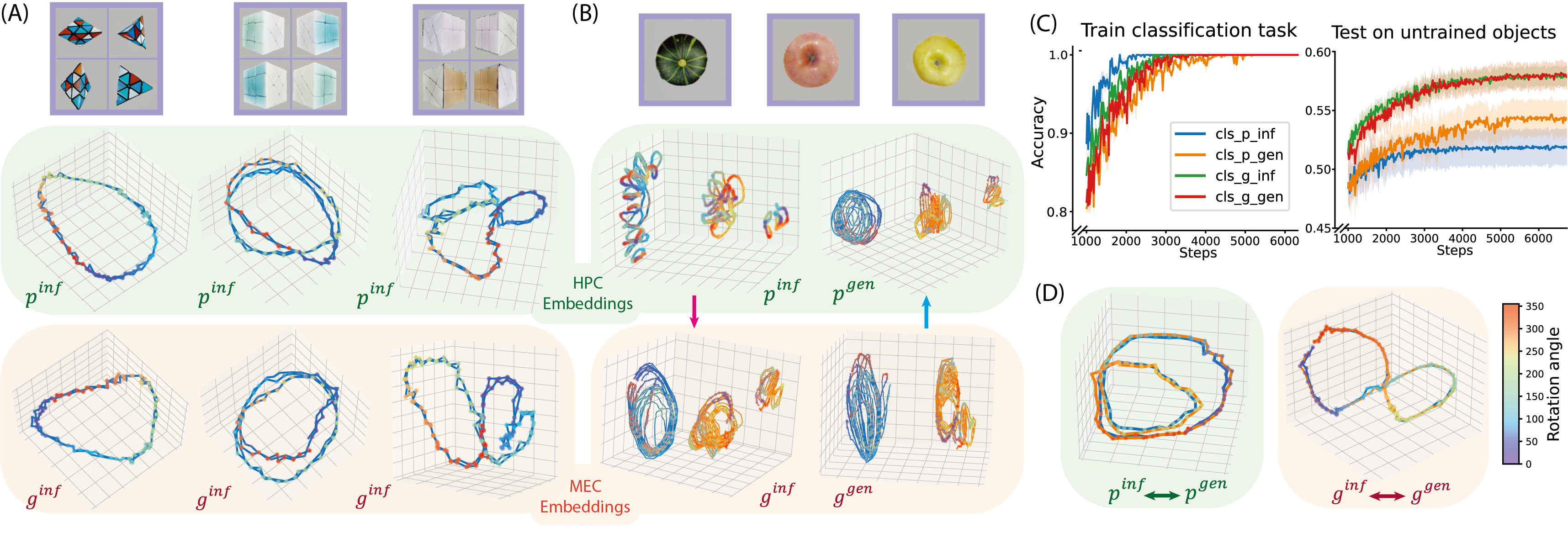 UMAP and classification analysis of HPC and MEC embeddings.