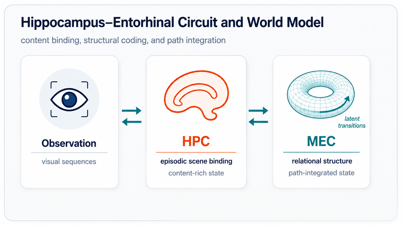 Functional correspondence between the hippocampal-entorhinal circuit and the proposed world model.